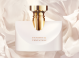 BULGARI SPLEND.PATCHOULI EDP  50
