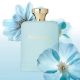 ST ARROGANCE ANNIVERSARY D EDP 100 SPR 2025    1 tester edp 100 spr ogni 3 profumi