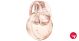 BULGARI OMNIA CRYSTALLINE EDP